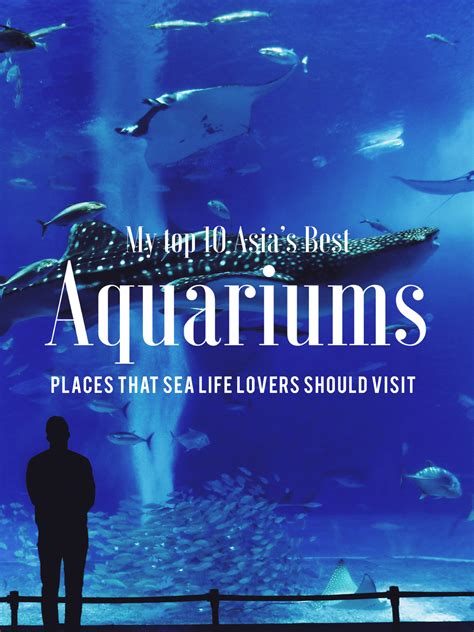 10+ Aquarium Pictures Inspiring Ocean Love