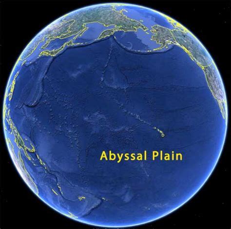 10 Argentine Abysal Plain Facts Revealed