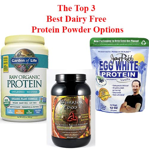 10 Dairy Free Protein Powder Options For Easy Absorption