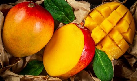 10+ Florida Mango Secrets For A Sweet Harvest