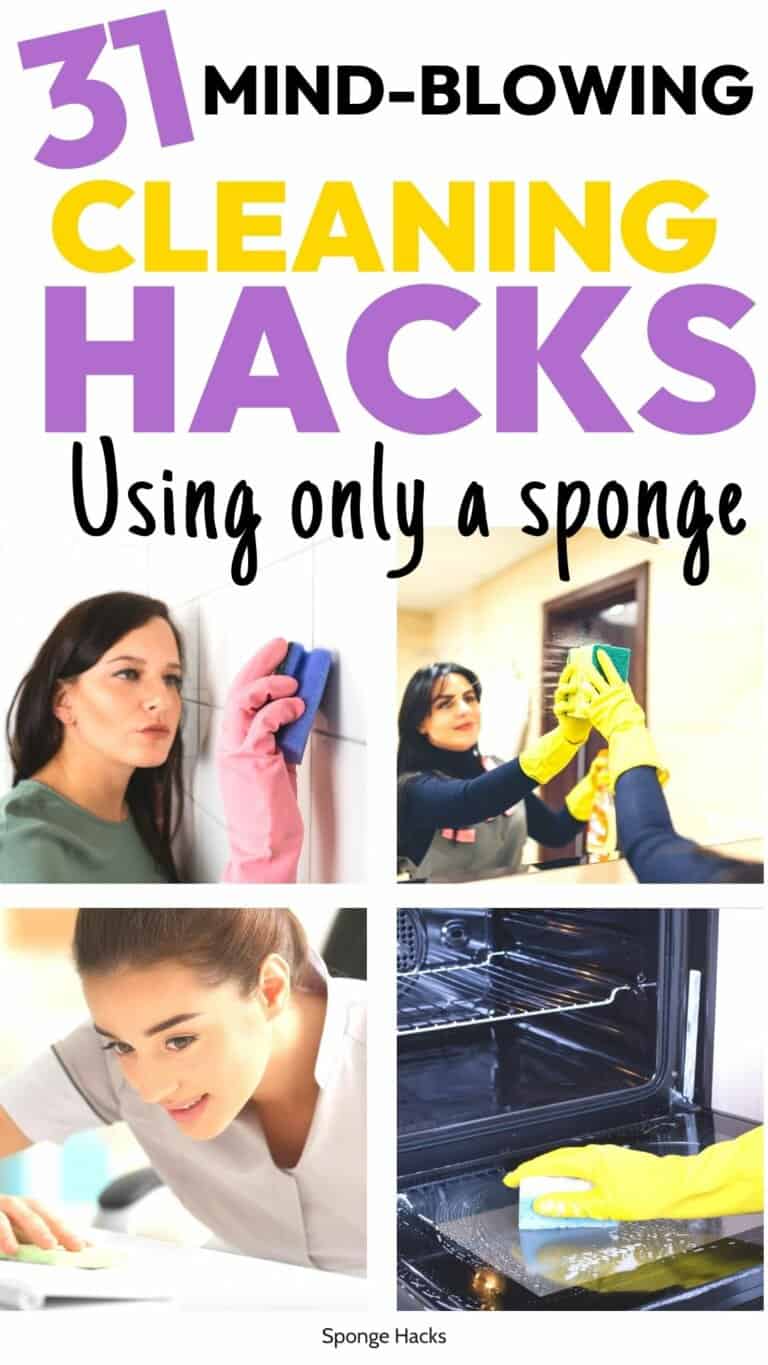 10 Sponge Hacks To Help You Around The House Organatic