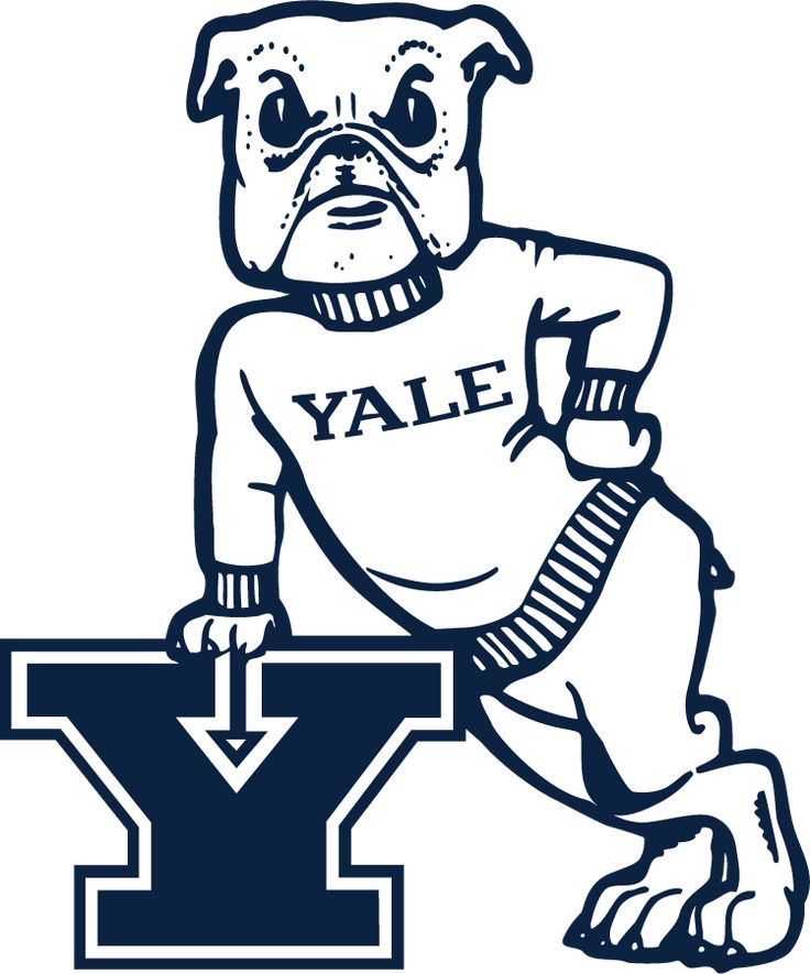 12 Bulldog Beds Yale For Better Sleep