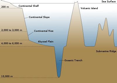 12+ Secrets Of The Argentine Abysal Plain Explained