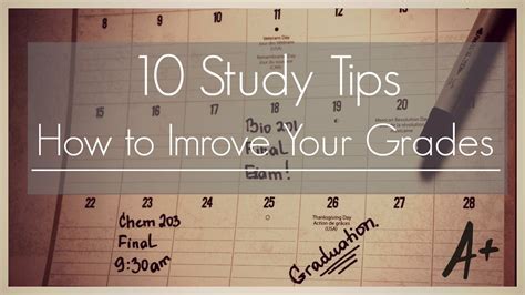 12 Uga Ecology Tips For Better Grades