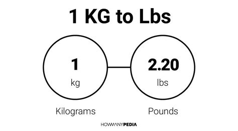 16 Lbs Equals How Many Kilograms