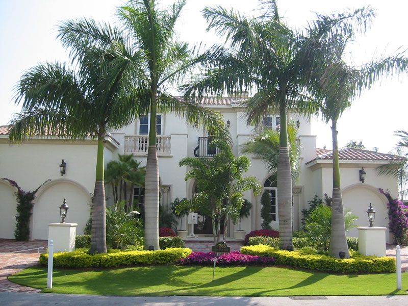 16 Palm Tree Landscaping Ideas Front Yard Garden Design