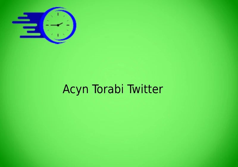 Acyn Torabi Guide: Uncovering Key Takeaways