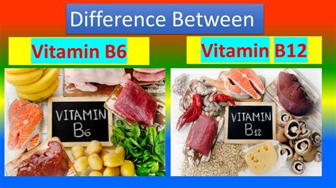 B6 Vs B12