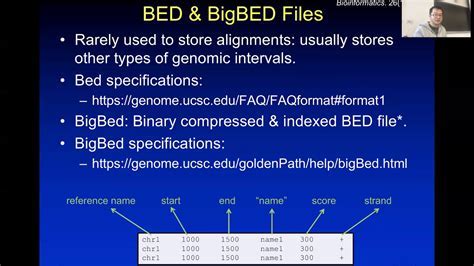 Bed File Vs Bam File