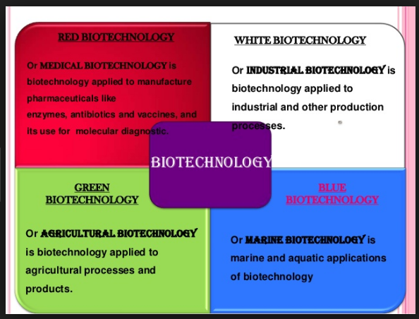 Biotechnology: Solving Religon Concerns