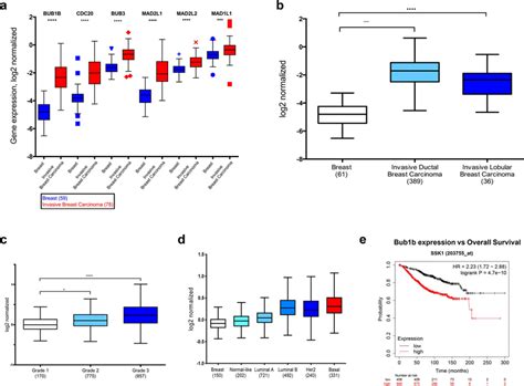 Bub1b Is Upregulated In Breast Cancer And Correlated With More