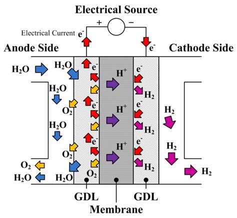 C Free Full Text Proton Exchange Membrane Electrolyzer Modeling For