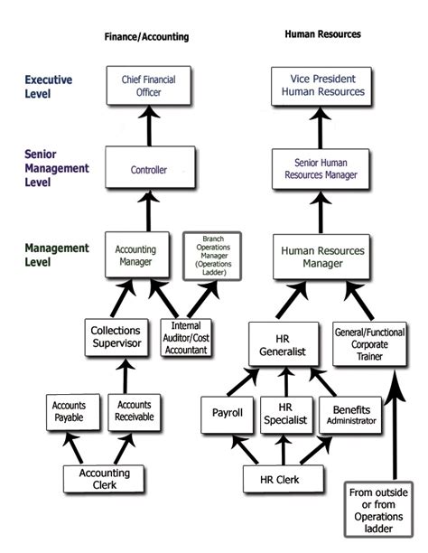 Career Ladder For Administration And Office Finance Duties