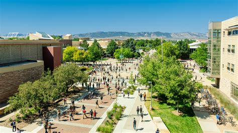 Colorado State University: Expert Education Guidance