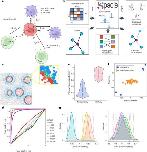 Computer Model Boosts Detection Of Cell To Cell Communication