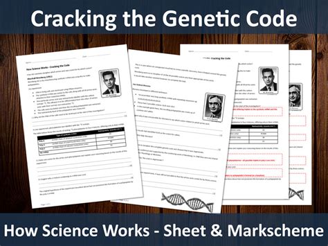 Cracking The Genetic Code Worksheet