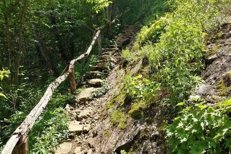 Craven Gap Trail: Easy Hike Guide