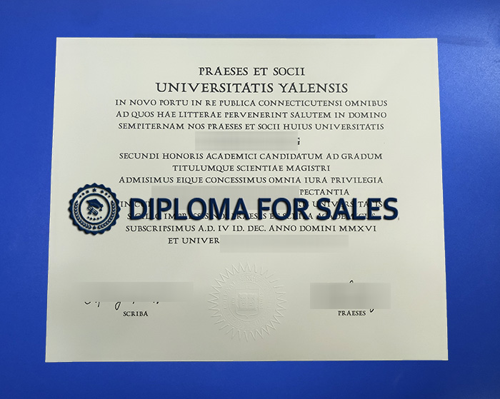 Diploma Yale Diploma