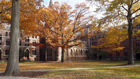 Download Fall Yale University Photo Wallpaper Wallpapers Com