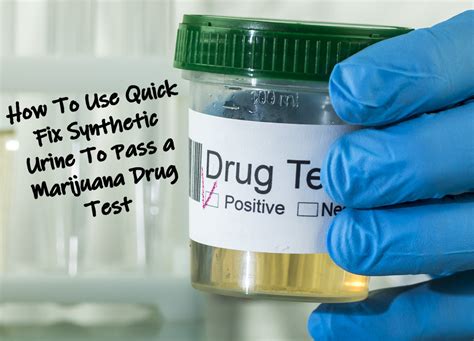 Drug Test For Employment Thc At Selena Hollar Blog