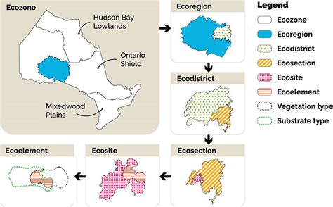 Ecological Land Classification