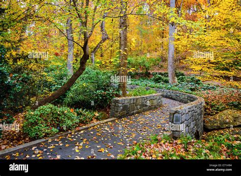 Fall Trail At Botanical Gardens In Athens Georgia Usa Stock Photo Alamy