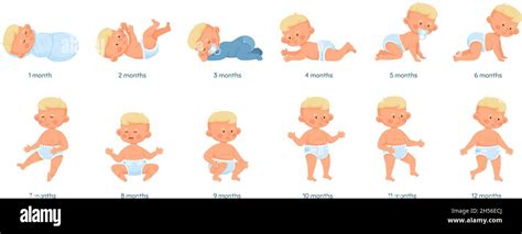 Fetal Growth And Development And Newborn Assessment Care Flashcards