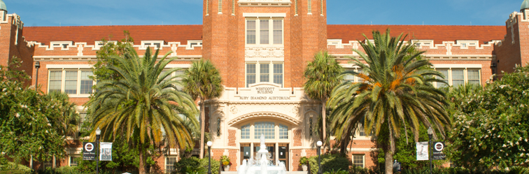 Fsu Cap And Gown