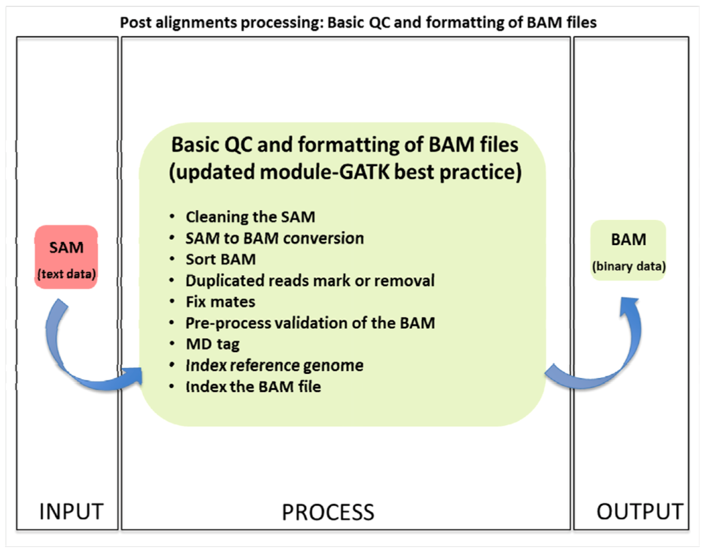 Geneious Tutorial Convert To Bam File Joloowl