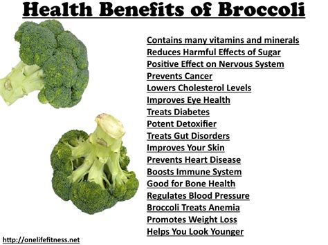 Health Benefits Of Broccoli Fresh Fitness