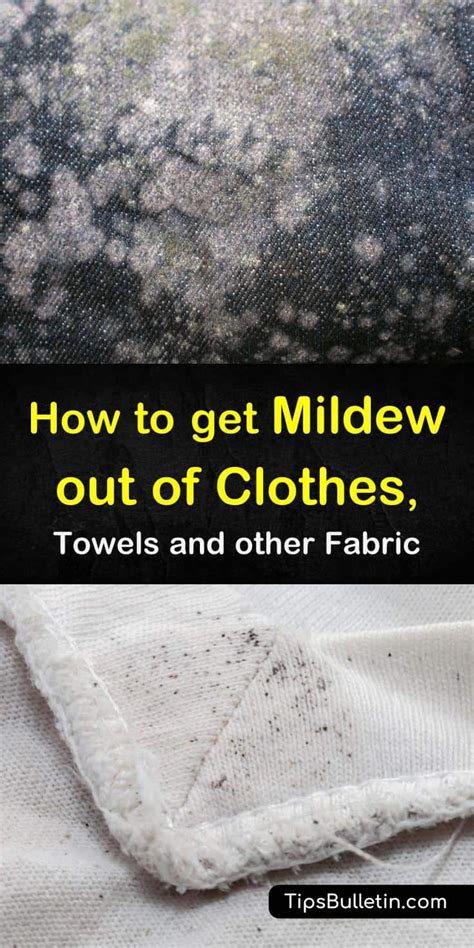 How Can I Get Mildew Out Of Fabric