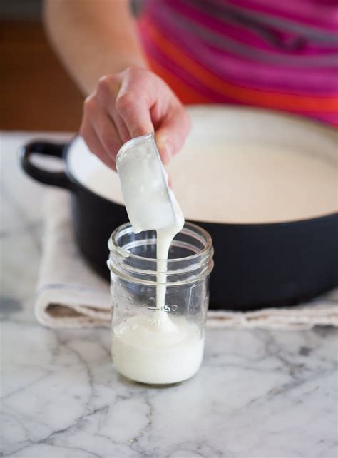 How Is Yoghurt Made? Easy Recipe Guide