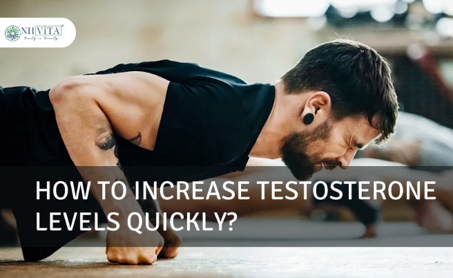 How To Increase Testosterone Levels Quickly Proven Methods Revealed