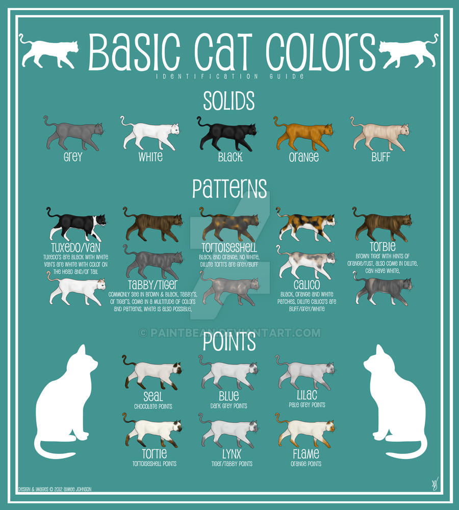 How To Read Cat Color Chart? Fast Answers