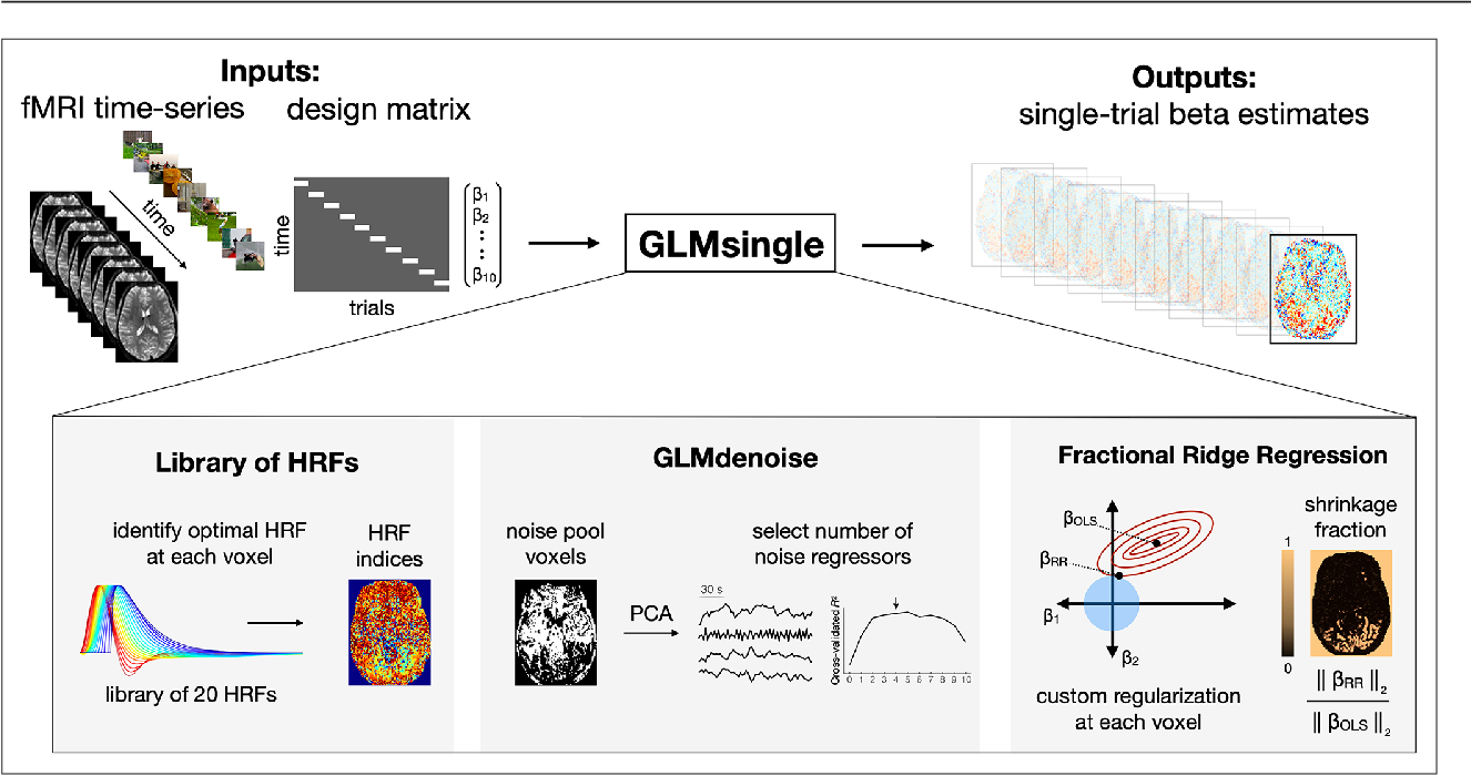 Improving The Accuracy Of Single Trial Fmri Response Estimates Using Glmsingle Elife