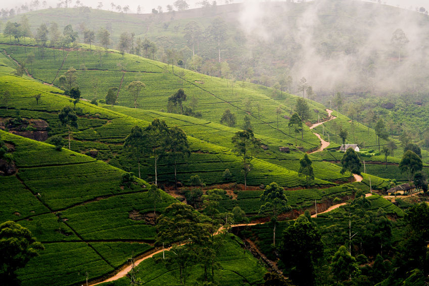 Introduction To The Ecological Land Classification Elc 2017