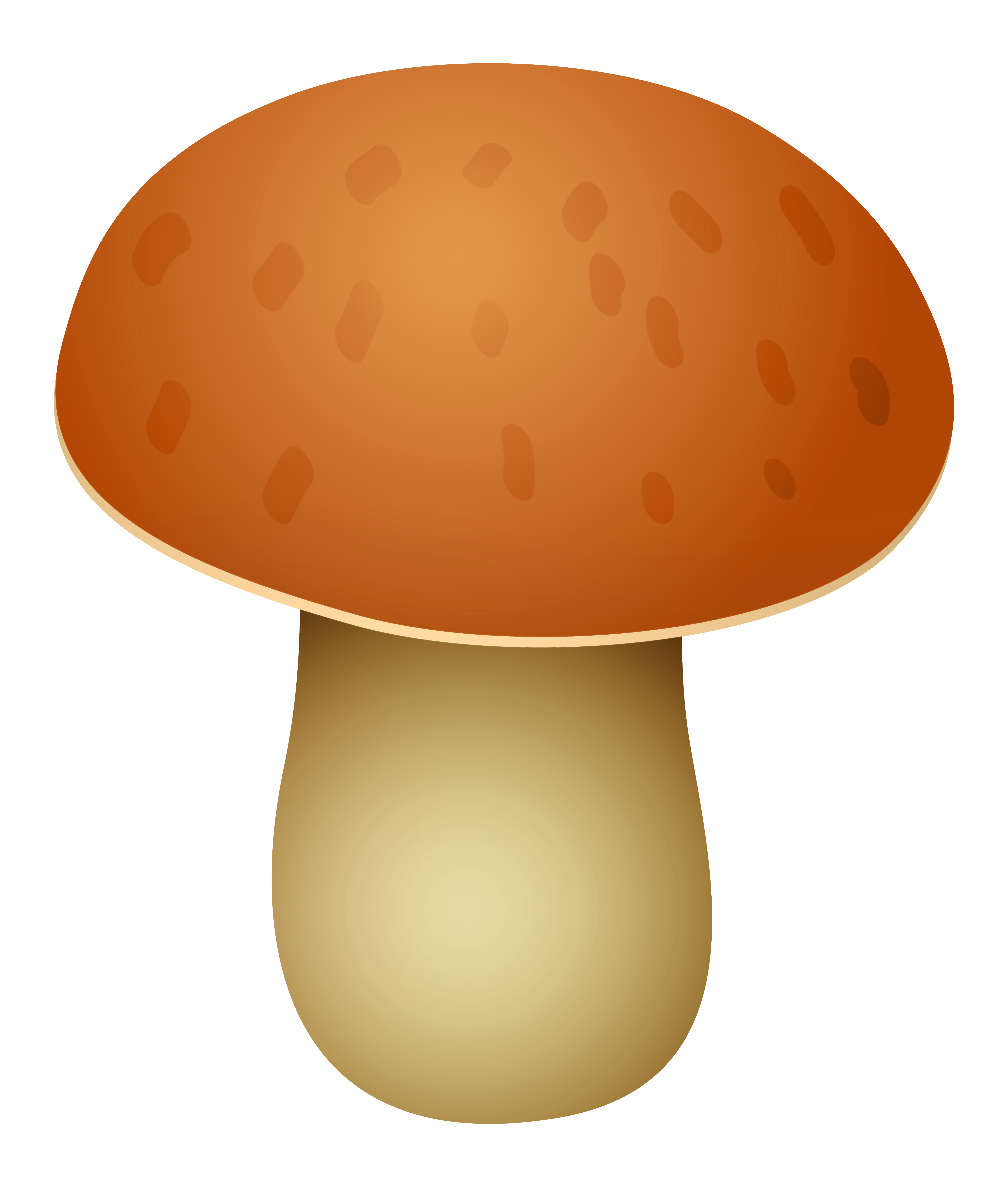 Is A Mushroom A Vegetable