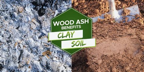 Is Wood Ash Good For Clay Soil Ph Levels Explained Grow Your Yard