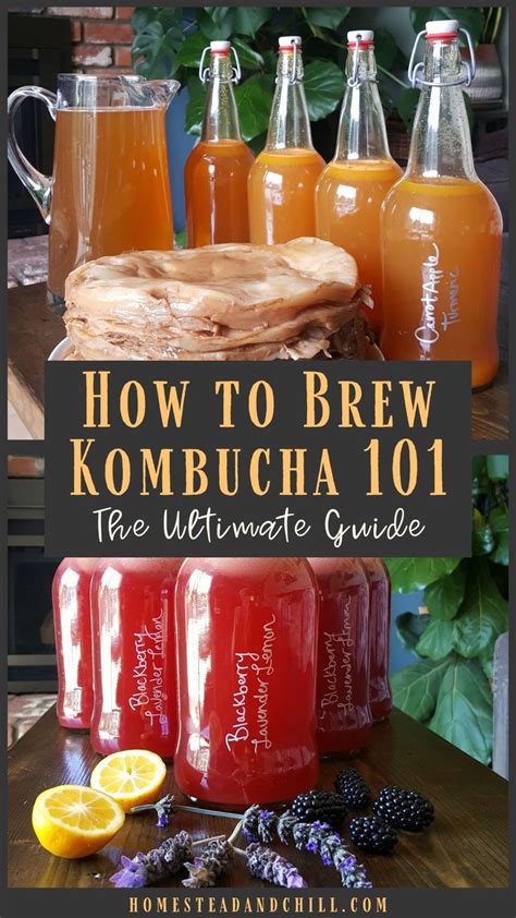 Kombucha 101: Wellness Made Easy