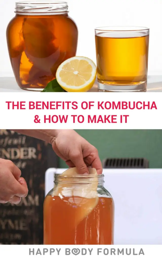 Kombucha Health Benefits Nutrients Digestion Immunity Boost