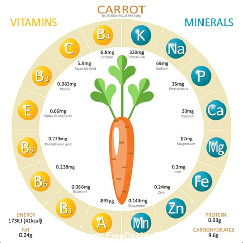 Madonna 40 Fatti Su Plant Nutrients Icon Role Of Nutrients Mineral