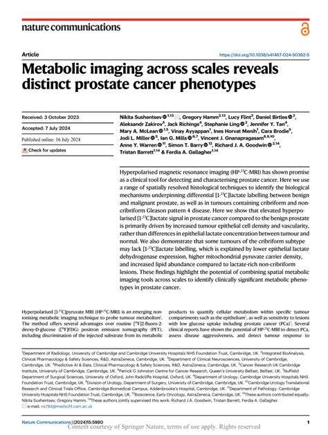 Metabolic Imaging Across Scales Reveals Distinct Prostate Cancer Phenotypes Nature Communications