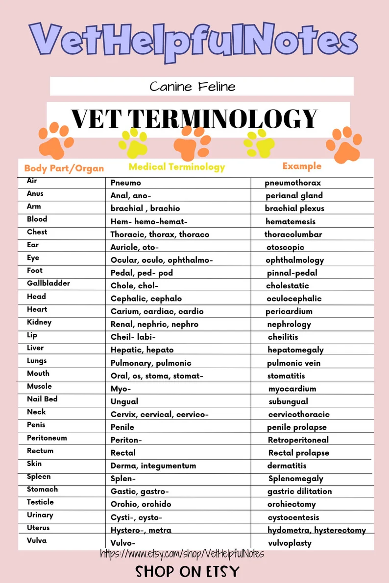 Metric Prefix Cheat Sheet