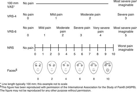 Migraine On Dolorimeter Scae