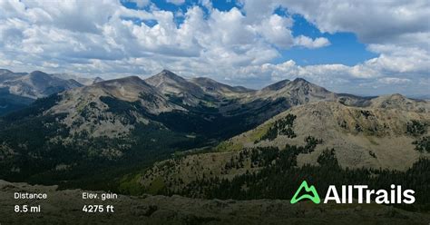 Mount Yale Summit Trail Colorado Alltrails