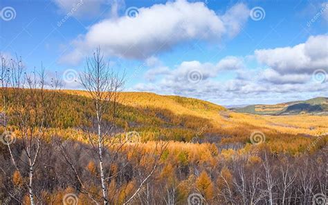 Mulan Wei Chang In Autumn Stock Photo Image Of Chengde 70107094