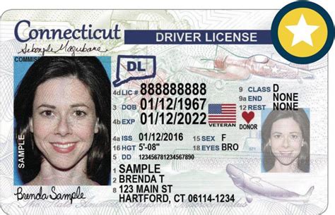 Obtaining A Connecticut Driver S License Office Of International