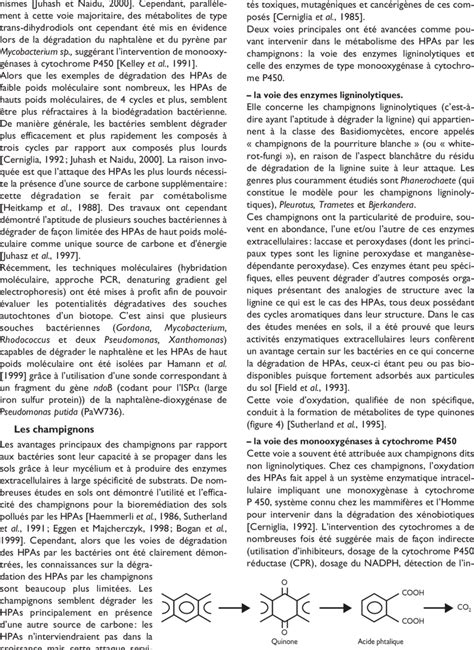 Oxydation Des Hydrocarbures Polycycliques Aromatiques Par La Voie Des