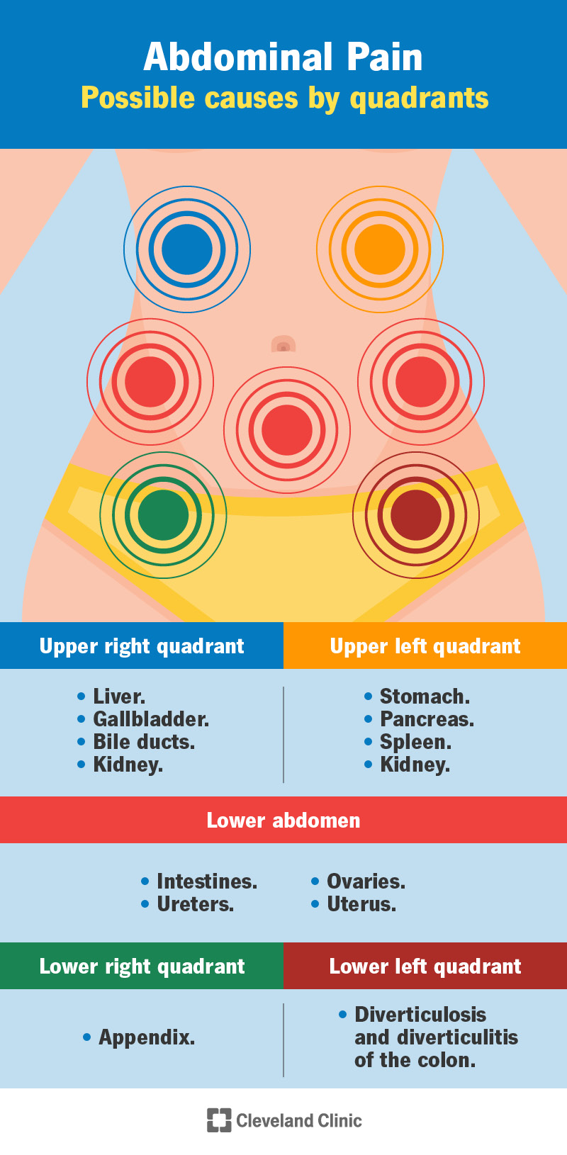 Pain In Abdomen After Eating Centre For Gi Health