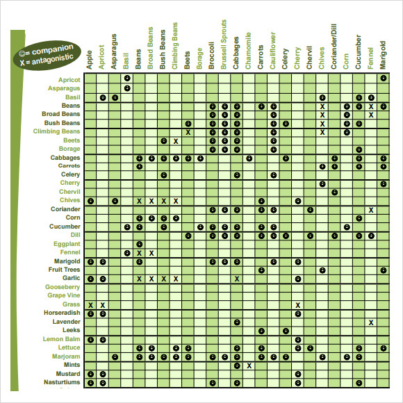 Printable Companion Planting Chart Pdf